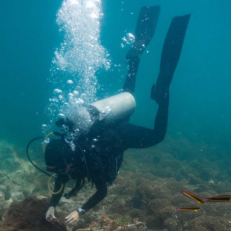 Capacitación en Habilidades Acuáticas - Ecuador