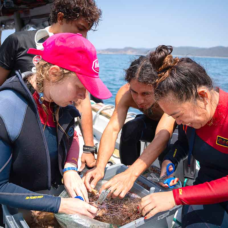 Fortalecimiento de Capacidades de Buceo Seguro