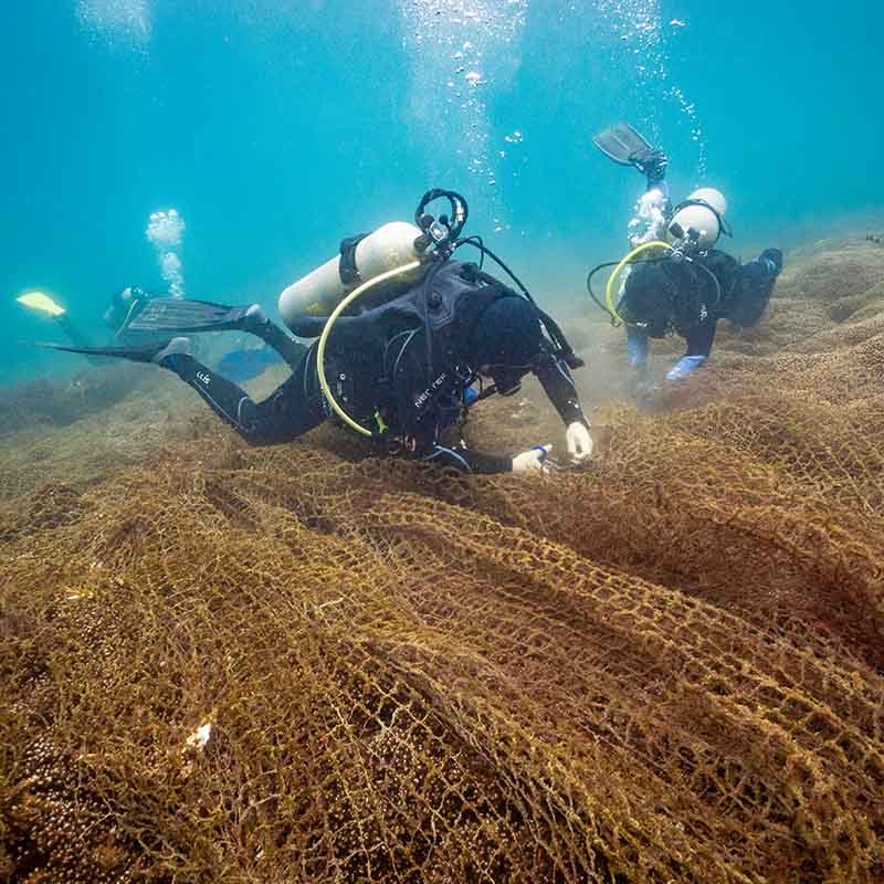 Limpieza de Fondo Marino y Playas