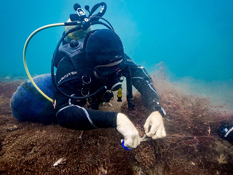 Mar sin Rastro - Limpieza de Redes Fantasma